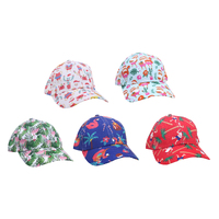 Baseball Cap Summer Christmas Asst