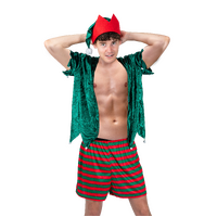 Christmas Skimpy Elf Costume Mens