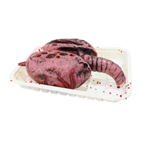 SEVERED LUNGS ON TRAY 17cm