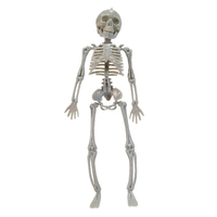 SKELETON 28cm