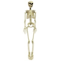 SKELETON 90cm