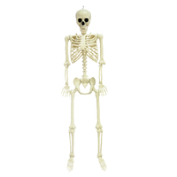 SKELETON 1.6m